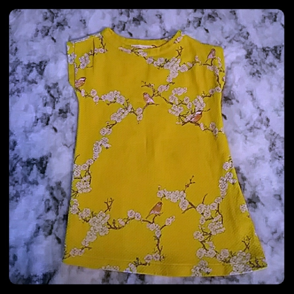 Zara Girls Toddler dress